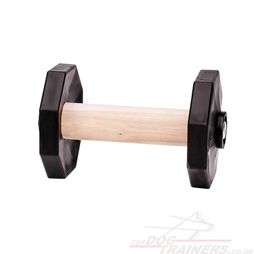 Dog agility training dumbbell